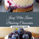 Juicy Mini Lemon Blueberry Cheesecakes