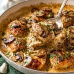 Rich Chicken Stroganoff Recipe