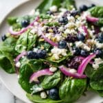 Blueberry Pistachio Spring Salad Recipe