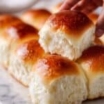 Easy Sourdough Discard Dinner Rolls Recipe